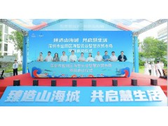 农贸市场代理招商需要重点关注代理公司哪些方面?
